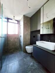 Irwell Hill Residences (D9), Apartment #581910751